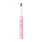 Sähköhammasharja FairyWill Sonic toothbrush with head set and case FW-507 Plus (pink) hinta ja tiedot | Sähköhammasharjat | hobbyhall.fi