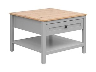 Sohvapöytä BRW Salga, harmaa/ruskea hinta ja tiedot | Sohvapöydät | hobbyhall.fi