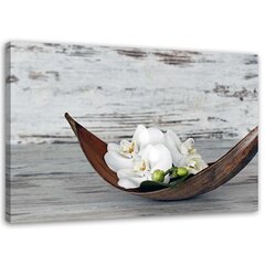 Taulu, Valkoiset orkideat hinta ja tiedot | Taulut | hobbyhall.fi