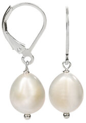 JwL Luxury Pearls Hopeakorvakorut, joissa valkoinen helmi oikea JL0148 sJL0148 hinta ja tiedot | Korvakorut | hobbyhall.fi