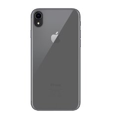 Apple iPhone X/Xs Soft Cover By Big Ben Transparent hinta ja tiedot | Puhelimen kuoret ja kotelot | hobbyhall.fi