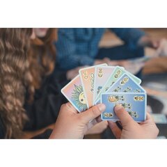 Korttipeli Brain Games Carnival, LT hinta ja tiedot | Lautapelit ja älypelit | hobbyhall.fi
