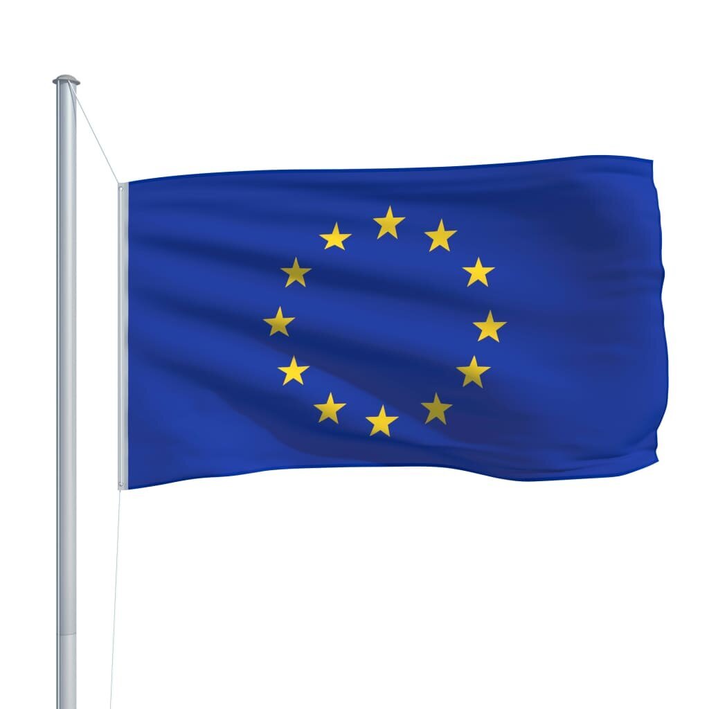 vidaXL Euroopan lippu 90x150 cm hinta ja tiedot | Liput | hobbyhall.fi