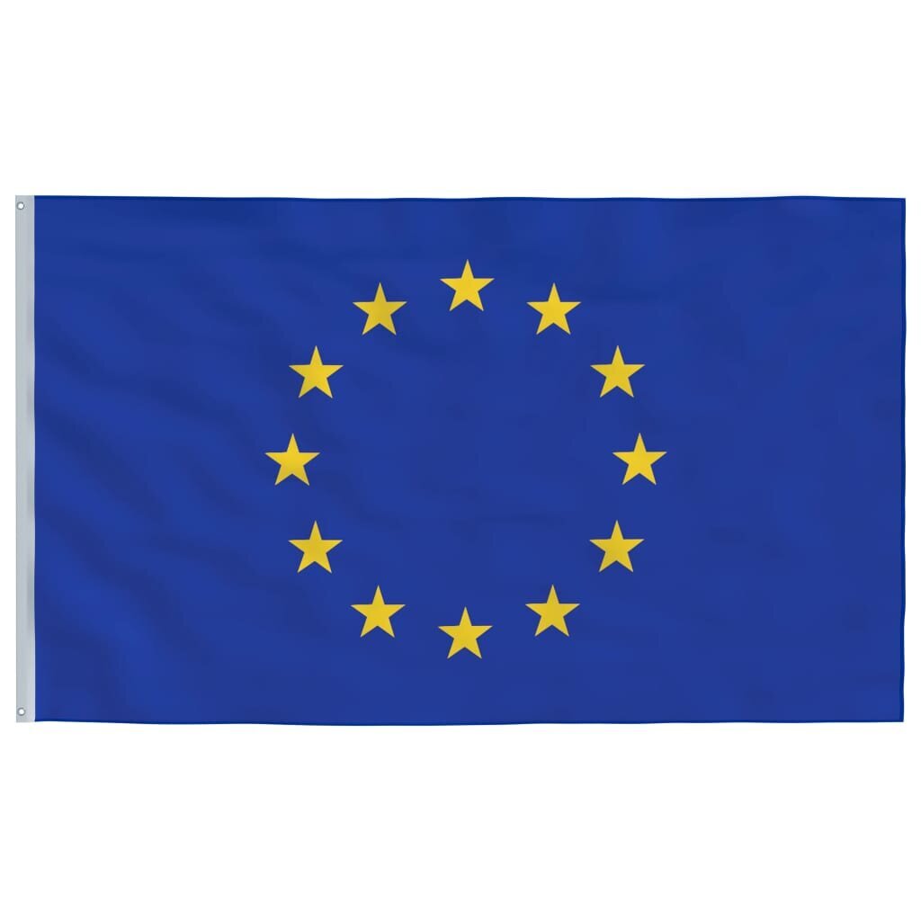 vidaXL Euroopan lippu 90x150 cm hinta ja tiedot | Liput | hobbyhall.fi
