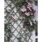 Nature Kasvisäleiköt 2 kpl 100x200 cm PVC vihreä hinta ja tiedot | Aidat ja tarvikkeet | hobbyhall.fi