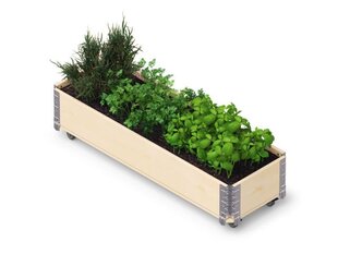 Kukkalaatikko Herbs Box pyörillä 1200 x 400 x 195 mm hinta ja tiedot | Kasvihuoneet | hobbyhall.fi