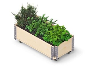 Kukkalaatikko Herbs Box pyörillä 800 x 400 x 195 mm hinta ja tiedot | Kasvihuoneet | hobbyhall.fi