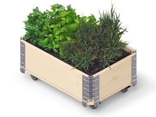 Kukkalaatikko Herbs Box pyörillä 600 x 400 x 195 mm hinta ja tiedot | Kasvihuoneet | hobbyhall.fi
