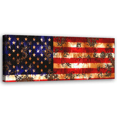 Taulu, Yhdysvaltain lippu hinta ja tiedot | Taulut | hobbyhall.fi