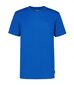 Miesten Icepeak T-paita Berne 57641-5*351, sininen hinta ja tiedot | Miesten T-paidat | hobbyhall.fi