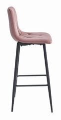 2 tuolin setti Leobert Nado, vaaleanpunainen/musta hinta ja tiedot | Ruokapöydän tuolit | hobbyhall.fi