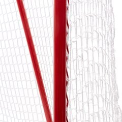 Prosport Street Hockey Maali hinta ja tiedot | Ei ole määritelty Talviurheilu | hobbyhall.fi
