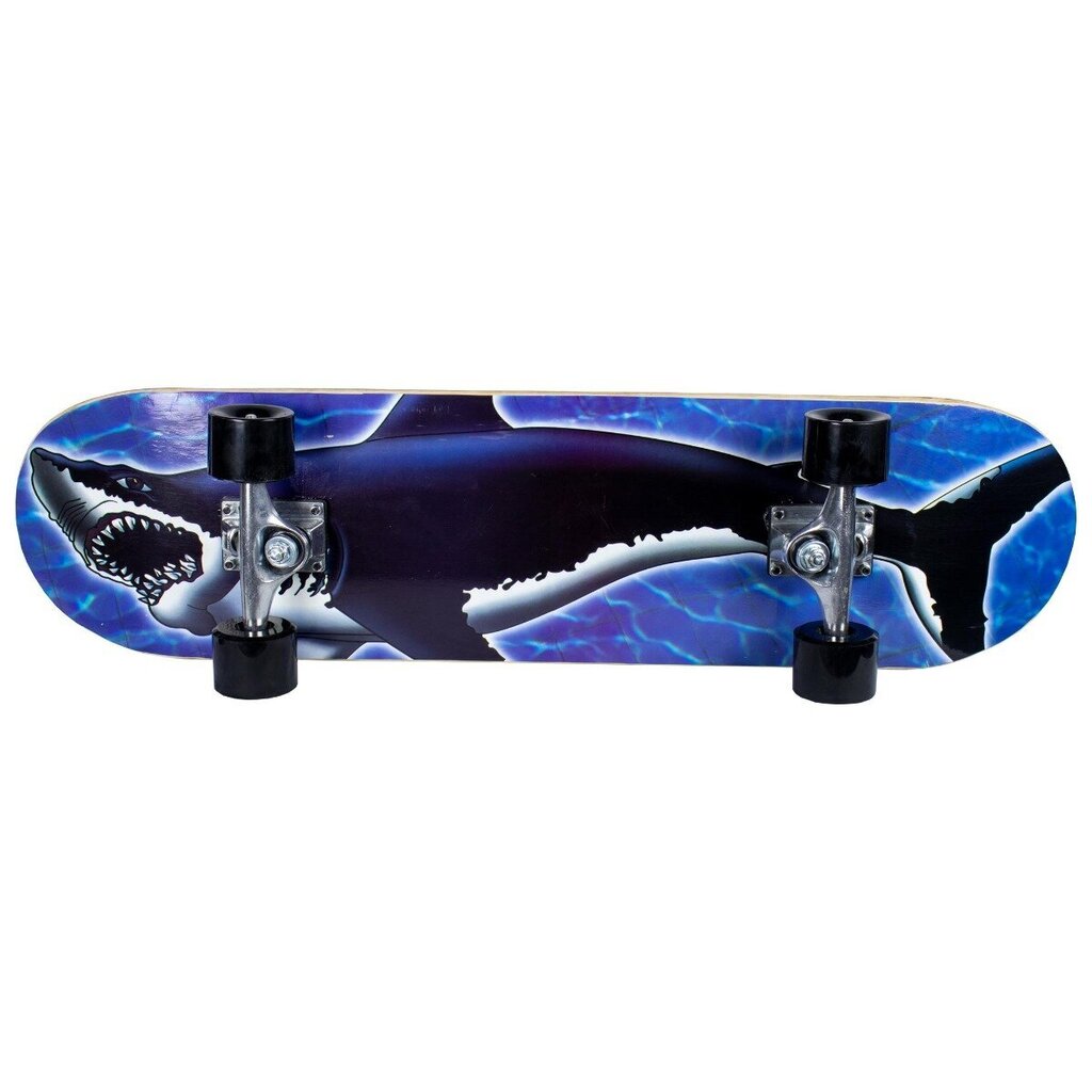 Sandbar rullalauta Shark 31X8" hinta ja tiedot | Skeittilaudat | hobbyhall.fi