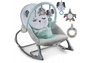 Sänkykeinu Ricokids 7324 hinta ja tiedot | Sitterit | hobbyhall.fi