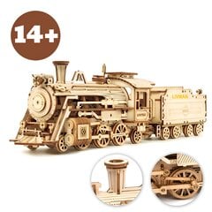 Livman ZY-173 3D puinen höyryjuna, 1:80, 308 osaa hinta ja tiedot | Kehittävät lelut | hobbyhall.fi