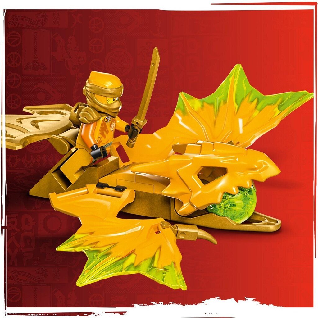 71803 LEGO® Ninjago Arinin lohikäärmehyökkäys hinta ja tiedot | LEGOT ja rakennuslelut | hobbyhall.fi