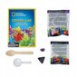 Kasvata Crystal Science Game National Geographic, Purple hinta ja tiedot | Kehittävät lelut | hobbyhall.fi