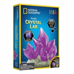Kasvata Crystal Science Game National Geographic, Purple hinta ja tiedot | Kehittävät lelut | hobbyhall.fi