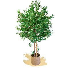Keinotekoinen oliivipuu hinta ja tiedot | Keinotekoiset kukat | hobbyhall.fi