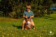 Horsylab puhallettava hyppyleluhevonen hinta ja tiedot | Vauvan lelut | hobbyhall.fi