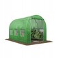 Puutarhakasvihuone Gregman 6 m² 295 x 195 cm, vihreä hinta ja tiedot | Kasvihuoneet | hobbyhall.fi