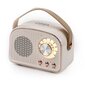 DNA RR1 langaton Bluetooth kaiutin USB MP3 AUX beige retro hinta ja tiedot | Kelloradiot ja herätyskellot | hobbyhall.fi