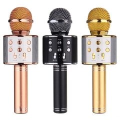 Karaoke-mikrofoni — kaiutin äänenvaihdostehosteilla hinta ja tiedot | 4IQ Lelut yli 3-vuotiaille lapsille | hobbyhall.fi