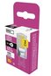 LED lemputė EMOS CLS JC 4W G9 470lm NW hinta ja tiedot | Lamput | hobbyhall.fi