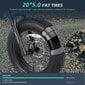 Sähköpyörä Fafrees F20 Ultra, 20", harmaa, 750W, 25Ah LG hinta ja tiedot | Sähköpyörät | hobbyhall.fi