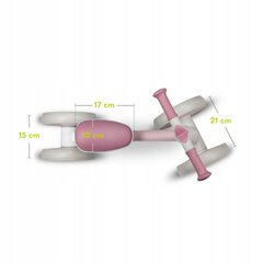 Potkupyörä Lionelo Villy, vaaleanpunainen hinta ja tiedot | Lionelo Ulkoilu | hobbyhall.fi