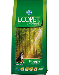 Farmina Ecopet Natural isorotuisille koirille kanaa, 12 kg hinta ja tiedot | Koiran kuivaruoka | hobbyhall.fi