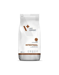 VetExpert Veterinary Diet Dog Intestinal kaikille koiraroduille, 12 kg hinta ja tiedot | Koiran kuivaruoka | hobbyhall.fi