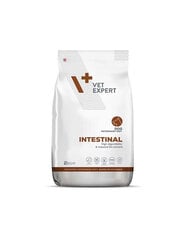 VetExpert Veterinary Diet Dog Intestinal kaikille koiraroduille, 2 kg hinta ja tiedot | Koiran kuivaruoka | hobbyhall.fi