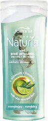 Naturia suihkugeeli Aloe and Lime 100ml hinta ja tiedot | Suihkusaippuat ja suihkugeelit | hobbyhall.fi