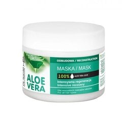 Hiusnaamio keratiinilla ja keramideilla Elfa Pharm Aloe Vera, 300ml hinta ja tiedot | Naamiot, öljyt ja seerumit | hobbyhall.fi