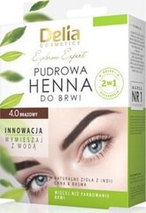 Eyebrow Expert puuteri henna kulmakarvoille 4.0 Pronssi 4g hinta ja tiedot | Kulmavärit ja kulmakynät | hobbyhall.fi