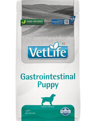 Farmina Vet Life Gastrointestinal Puppy nuorille koirille, siipikarjaa ja riisiä, 2 kg hinta ja tiedot | Farmina Lemmikit | hobbyhall.fi