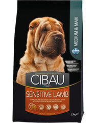 Farmina Cibau Sensitive Lamb Medium Maxi 2,5 kg hinta ja tiedot | Koiran kuivaruoka | hobbyhall.fi