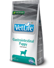 Farmina VetLife Dog Puppy Gastrointestinal siipikarjaa, 12 kg hinta ja tiedot | Koiran kuivaruoka | hobbyhall.fi