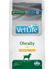 Farmina VetLife Obesity Fish, 2 kg hinta ja tiedot | Farmina Lemmikit | hobbyhall.fi