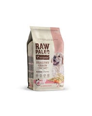 VetExpert Raw Paleo Heathy Viljaton koiranruoka nuorille koirille, lohta, 2 kg hinta ja tiedot | Koiran kuivaruoka | hobbyhall.fi
