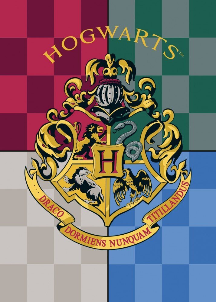 Lasten fleecehuopa Harry Potter, 100x140 cm hinta ja tiedot | Päiväpeitot ja huovat | hobbyhall.fi