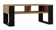 Sohvapöytä TopEshop Modern, 90x58x50 cm, ruskea hinta ja tiedot | Sohvapöydät | hobbyhall.fi