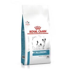 Royal Canin Allergenic Small Dog pienikokoisille koirille, 3 kg hinta ja tiedot | Koiran kuivaruoka | hobbyhall.fi