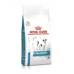 Royal Canin Allergenic Small Dog pienikokoisille koirille, 1,5 kg hinta ja tiedot | Koiran kuivaruoka | hobbyhall.fi