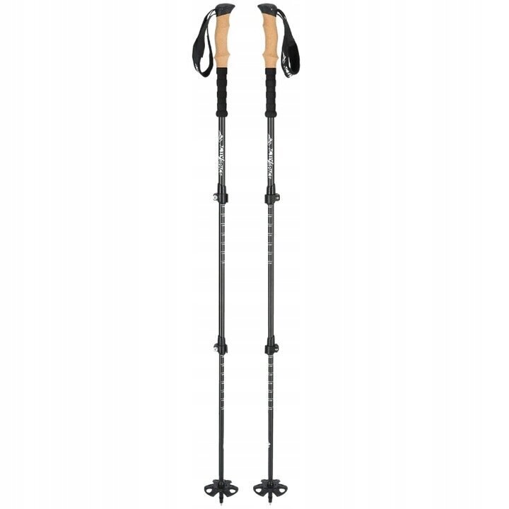 Kävelysauvat Activ/Space Carbon 2 kpl 61-135 cm 61-135 cm hinta ja tiedot | Kävelysauvat | hobbyhall.fi