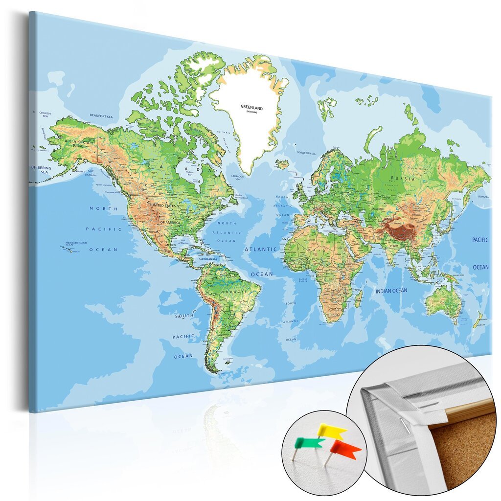Korkkitaulu - World Geography [Cork Map] hinta ja tiedot | Taulut | hobbyhall.fi
