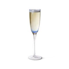 Fissman shampanjalasi, 240 ml hinta ja tiedot | Lasit, mukit ja kannut | hobbyhall.fi