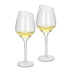 Fissman viinilasisetti valkoviinille, 520 ml, 2 kpl hinta ja tiedot | Lasit, mukit ja kannut | hobbyhall.fi