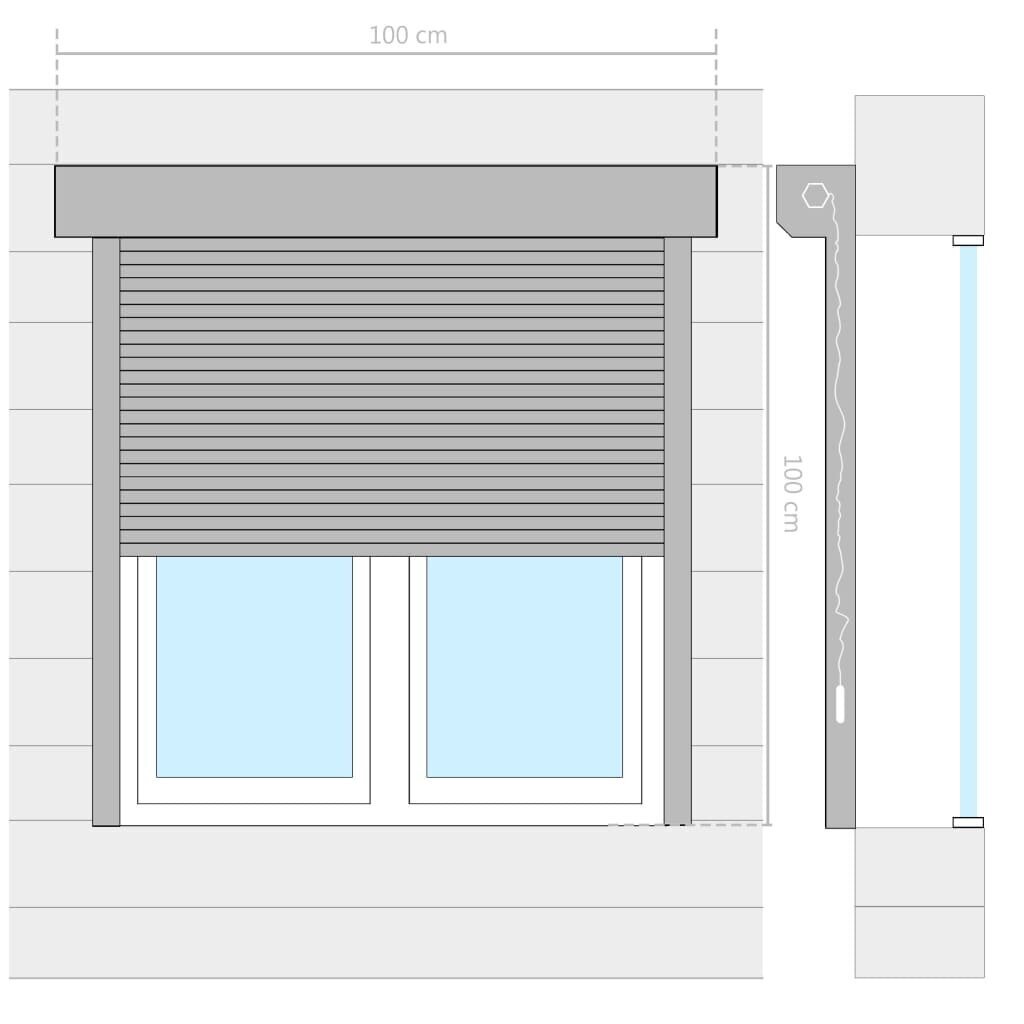 vidaXL Rullakaihdin alumiini 100x100 cm antrasiitti hinta ja tiedot | Kaihtimet | hobbyhall.fi